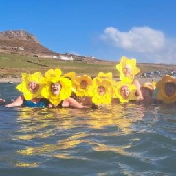 pembrokeshire-established-new-saints-day-tradition-with-daffy-dips