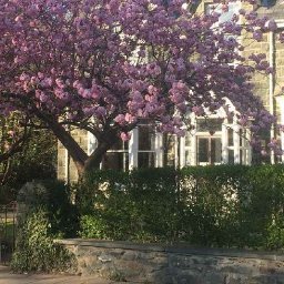 price-tag-slapped-on-lawrence-of-arabia-house-now-up-for-sale-in-north-wales