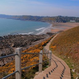 public-asked-to-take-part-in-global-initiative-by-taking-snaps-of-welsh-coastline