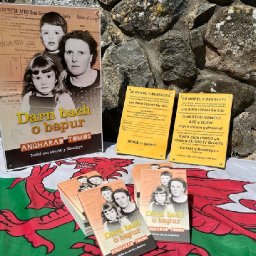 campaign-launched-to-save-home-of-pioneering-welsh-language-activist