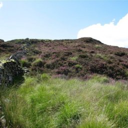 co-op-reveals-deal-with-rspb-to-restore-and-manage-peatland-in-wales-and-scotland