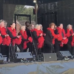 watch-choir-perform-brilliant-abba-medley-in-welsh