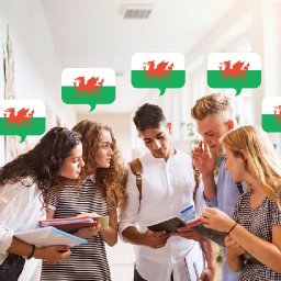 national-eisteddfod-event-to-spotlight-importance-of-welsh-language-in-further-education