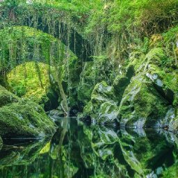 lord-of-the-rings-eryri-gorge-with-ancient-bridge-guarded-by-fearsome-cockerel