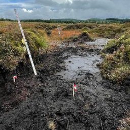 new-funding-round-announced-for-peatland-restoration-projects