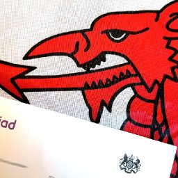 do-we-really-know-how-many-people-in-wales-speak-welsh