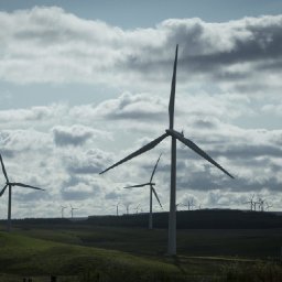 let-them-eat-crumbs-marvel-as-another-windfarm-exports-energy-and-profits-from-wales