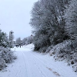 yellow-alert-for-snow-issued-as-arctic-blast-tightens-grip-on-wales