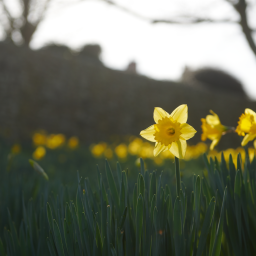 its-time-for-an-easter-adventure-7-free-family-activities-to-enjoy-on-the-wales-coast-path