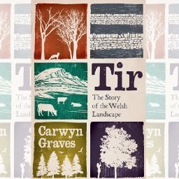 book-extract-tir-the-story-of-the-welsh-landscape-by-carwyn-graves
