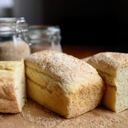 welsh-scientists-are-turning-waste-bread-crusts-into-nutritious-food-with-ancient-asian-fermentation